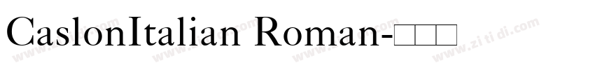 CaslonItalian Roman字体转换